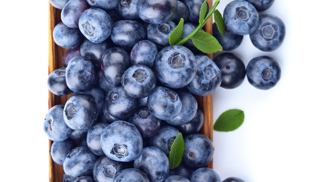 解读丨进口赞比亚鲜食蓝莓植物检疫要求