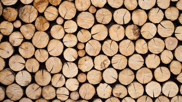木材进口报关要经过哪些流程？看这1篇就够了